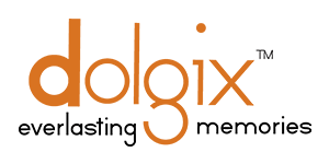 Dolgix Computer RAM - High-Performance Laptop Memory